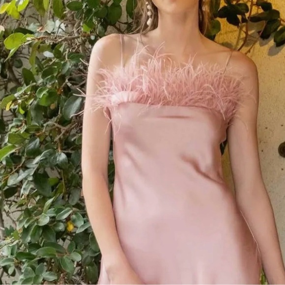 Blu Pepper Strapless Pink Dress with Feather Trim Size Small Elegant NWT Easter - Picture 6 of 7